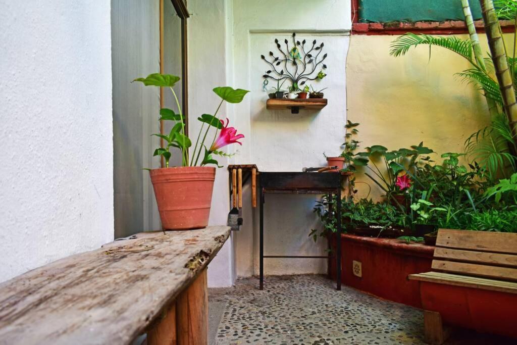 プエルトバラータ Casa Aramaraヴィラ エクステリア 写真